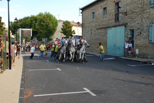 Abrivado  Bédarrides 2014_06.jpg