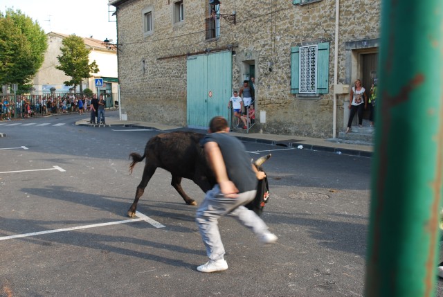 Abrivado  Bédarrides 2014_10.jpg