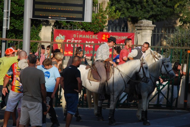 Abrivado  Bédarrides 2014_16.jpg