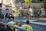 Abrivado  Bédarrides 2014_24.jpg