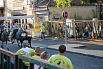 Abrivado  Bédarrides 2014_24.jpg