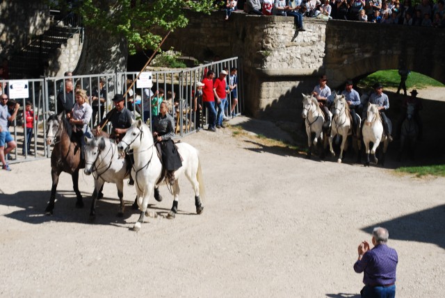 abrivado_pernes_2016__04.jpg