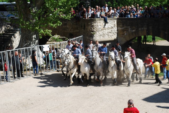 abrivado_pernes_2016__08.jpg