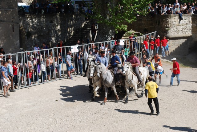 abrivado_pernes_2016__13.jpg