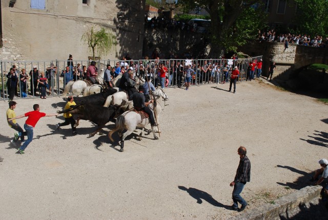 abrivado_pernes_2016__22.jpg