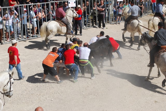 abrivado_pernes_2016__27.jpg