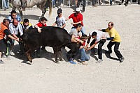 abrivado_pernes_2016__29.jpg