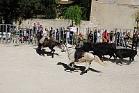 abrivado_pernes_2016__43.jpg