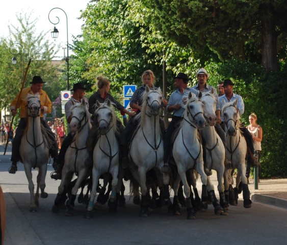 Abrivado athen_paluds_2015_04.jpg