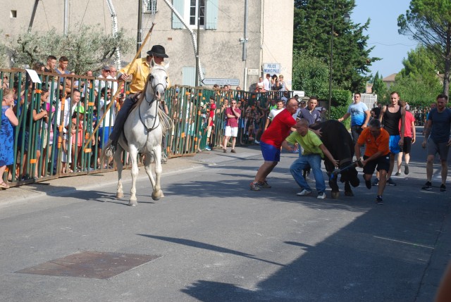 Abrivado athen_paluds_2015_07.jpg