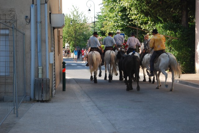 Abrivado athen_paluds_2015_08.jpg