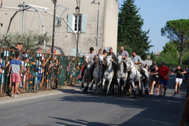 Abrivado athen_paluds_2015_09.jpg