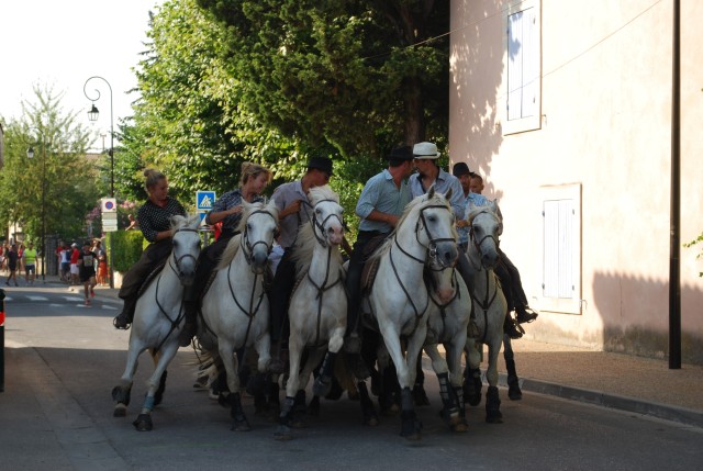 Abrivado athen_paluds_2015_11.jpg