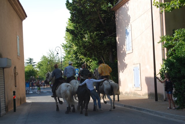 Abrivado athen_paluds_2015_17.jpg