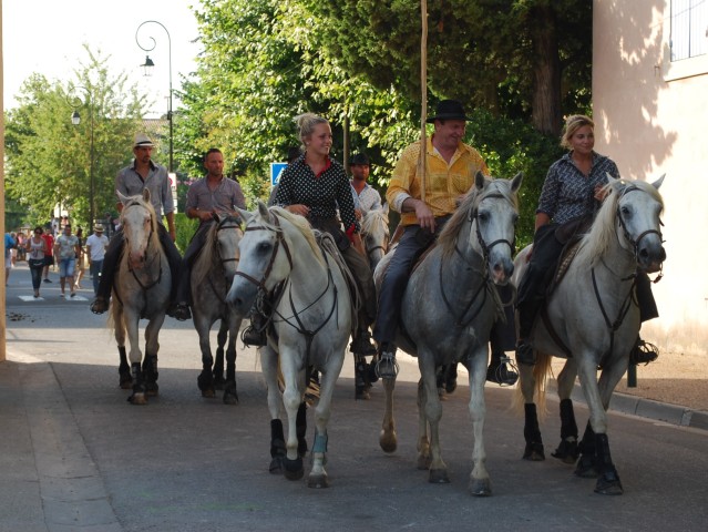 Abrivado athen_paluds_2015_24.jpg