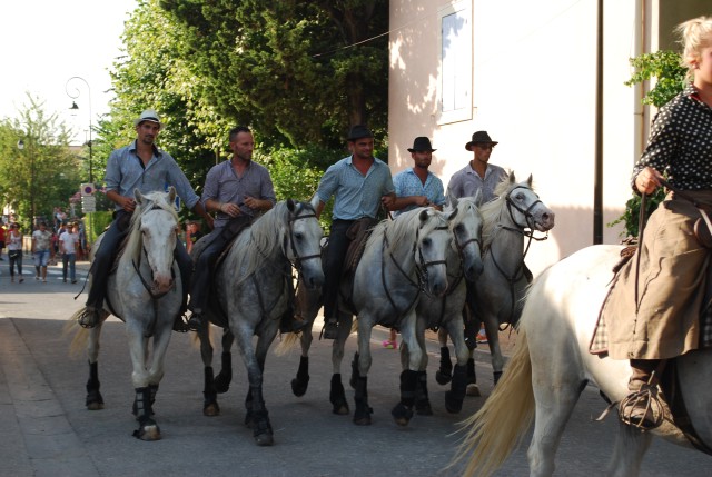 Abrivado athen_paluds_2015_25.jpg