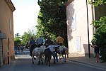 Abrivado athen_paluds_2015_17.jpg