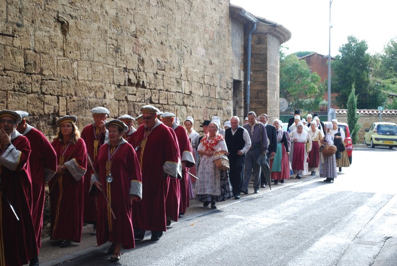 ban des vendanges 2015 __05.jpg