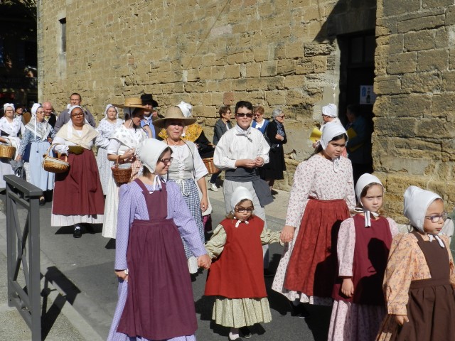 ban_vendanges_2017_16.jpg