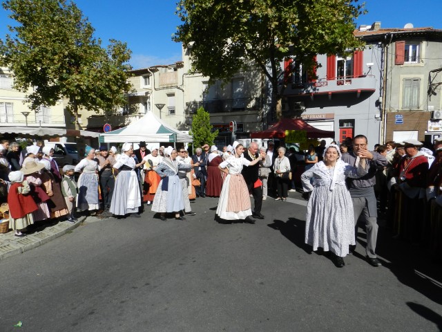 ban_vendanges_2017_36.jpg