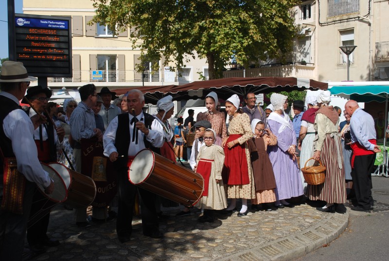 ban_vendanges_2019_37.jpg