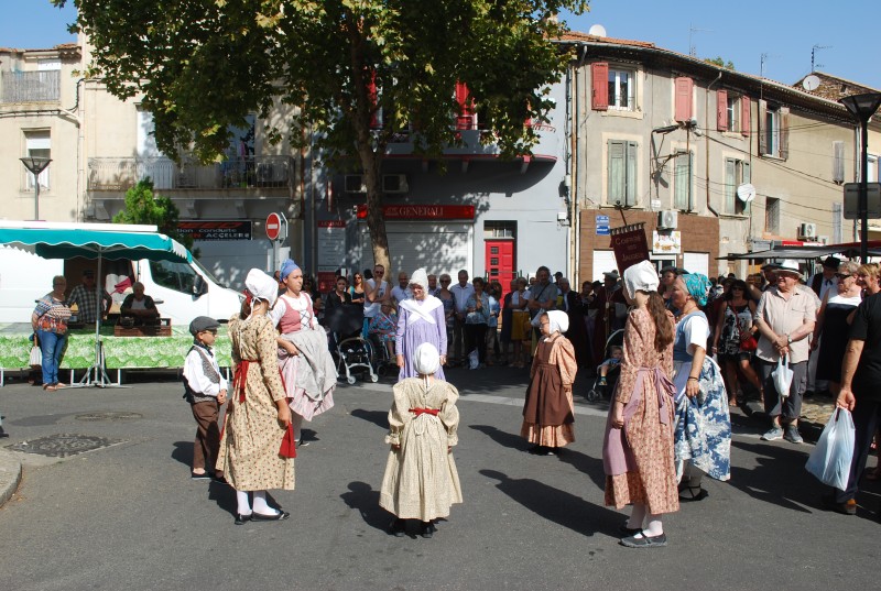 ban_vendanges_2019_41.jpg