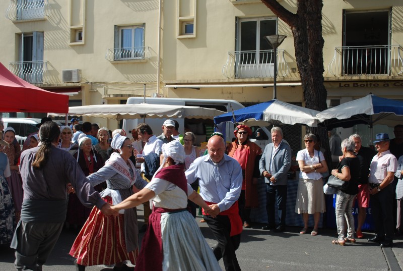 ban_vendanges_2019_54.jpg