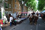 DSC_0018.jpg