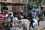 DSC_0087.jpg