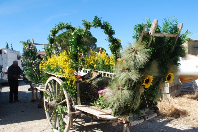 Foire chevaux Bedarrides 2017_02.jpg