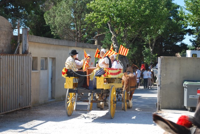 Foire chevaux Bedarrides 2017_03.jpg