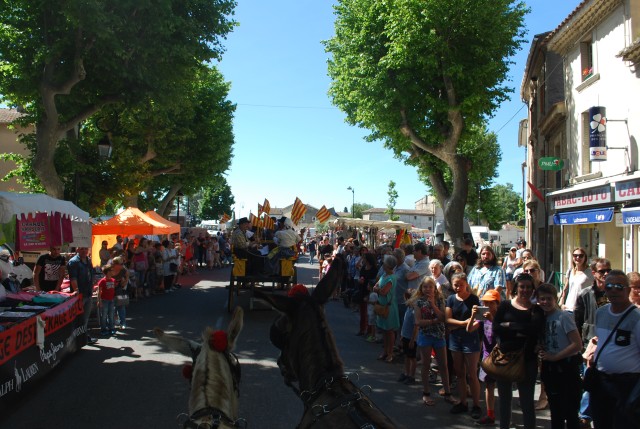 Foire chevaux Bedarrides 2017_06.jpg