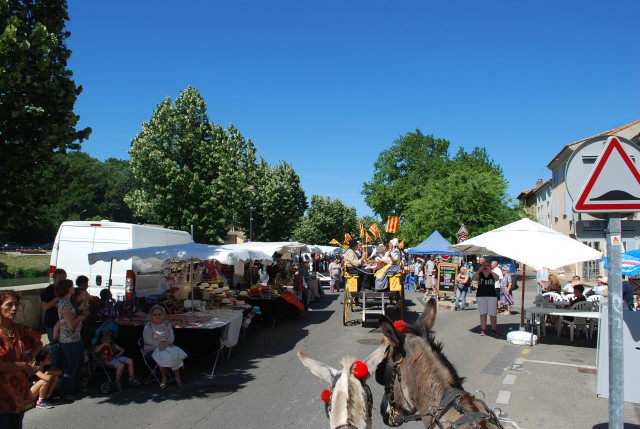 Foire chevaux Bedarrides 2017_08.jpg