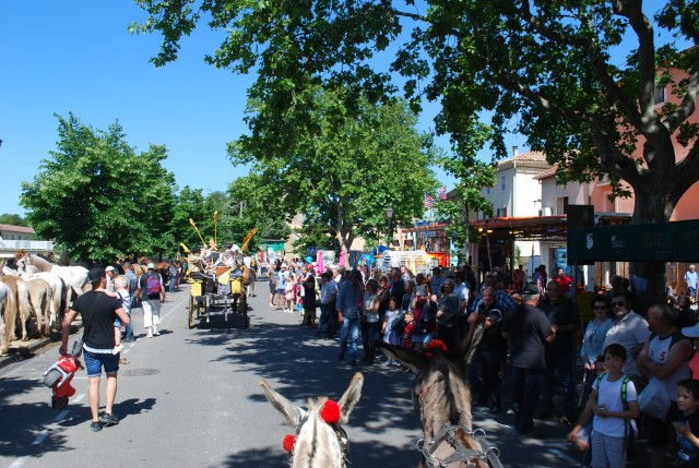 Foire chevaux Bedarrides 2017_13.jpg