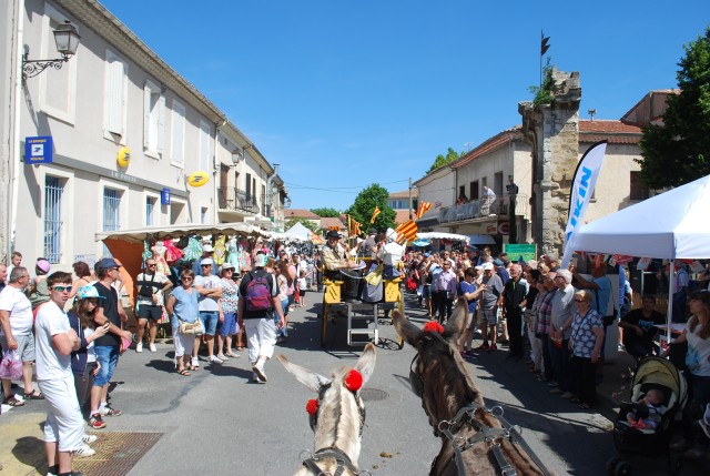 Foire chevaux Bedarrides 2017_18.jpg