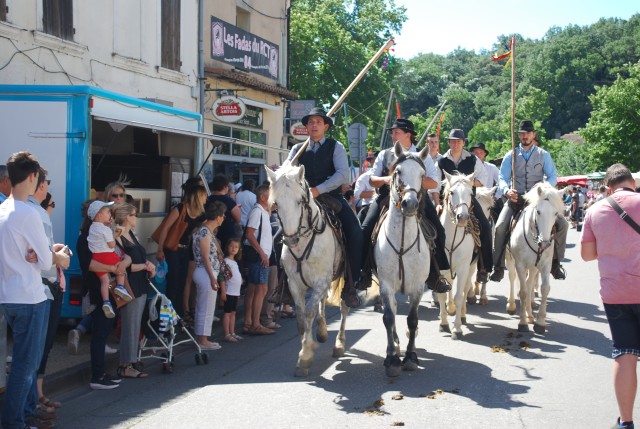 Foire chevaux Bedarrides 2017_22.jpg