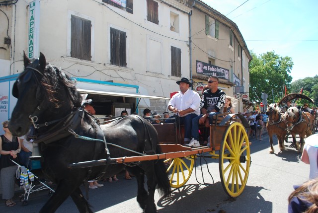 Foire chevaux Bedarrides 2017_23.jpg