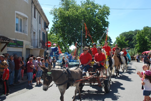 Foire chevaux Bedarrides 2017_24.jpg