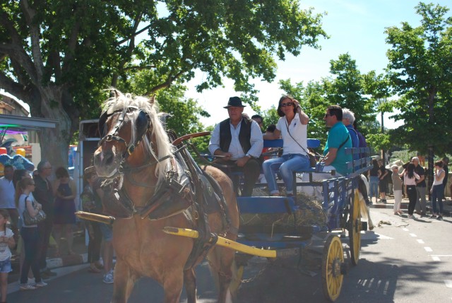 Foire chevaux Bedarrides 2017_25.jpg