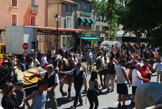 Foire chevaux Bedarrides 2017_28.jpg