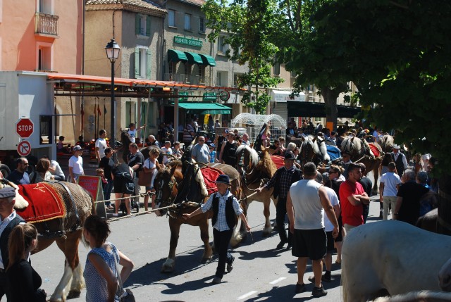 Foire chevaux Bedarrides 2017_29.jpg