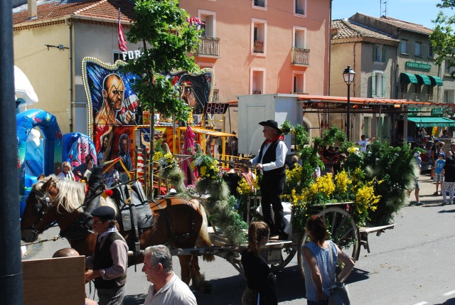 Foire chevaux Bedarrides 2017_31.jpg