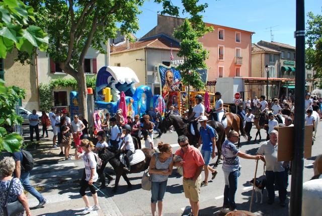 Foire chevaux Bedarrides 2017_32.jpg