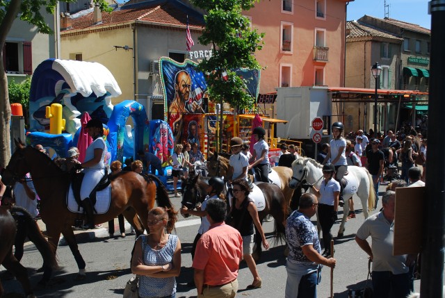 Foire chevaux Bedarrides 2017_33.jpg