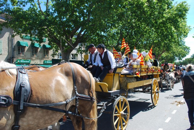 Foire chevaux Bedarrides 2017_35.jpg