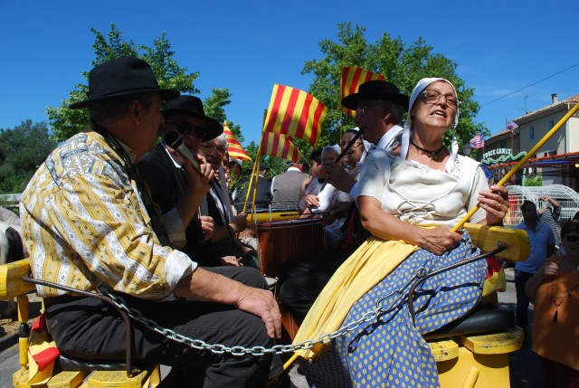 Foire chevaux Bedarrides 2017_37.jpg