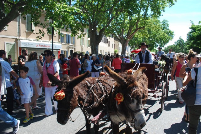 Foire chevaux Bedarrides 2017_39.jpg