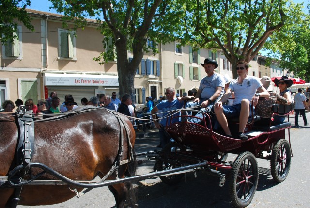 Foire chevaux Bedarrides 2017_40.jpg