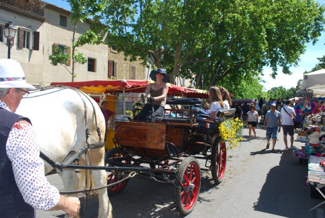 Foire chevaux Bedarrides 2017_43.jpg