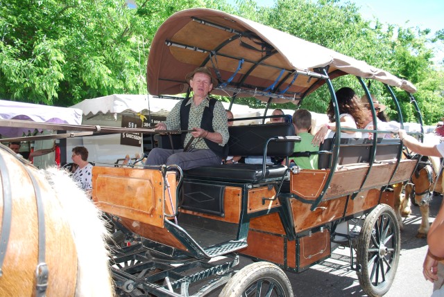 Foire chevaux Bedarrides 2017_47.jpg